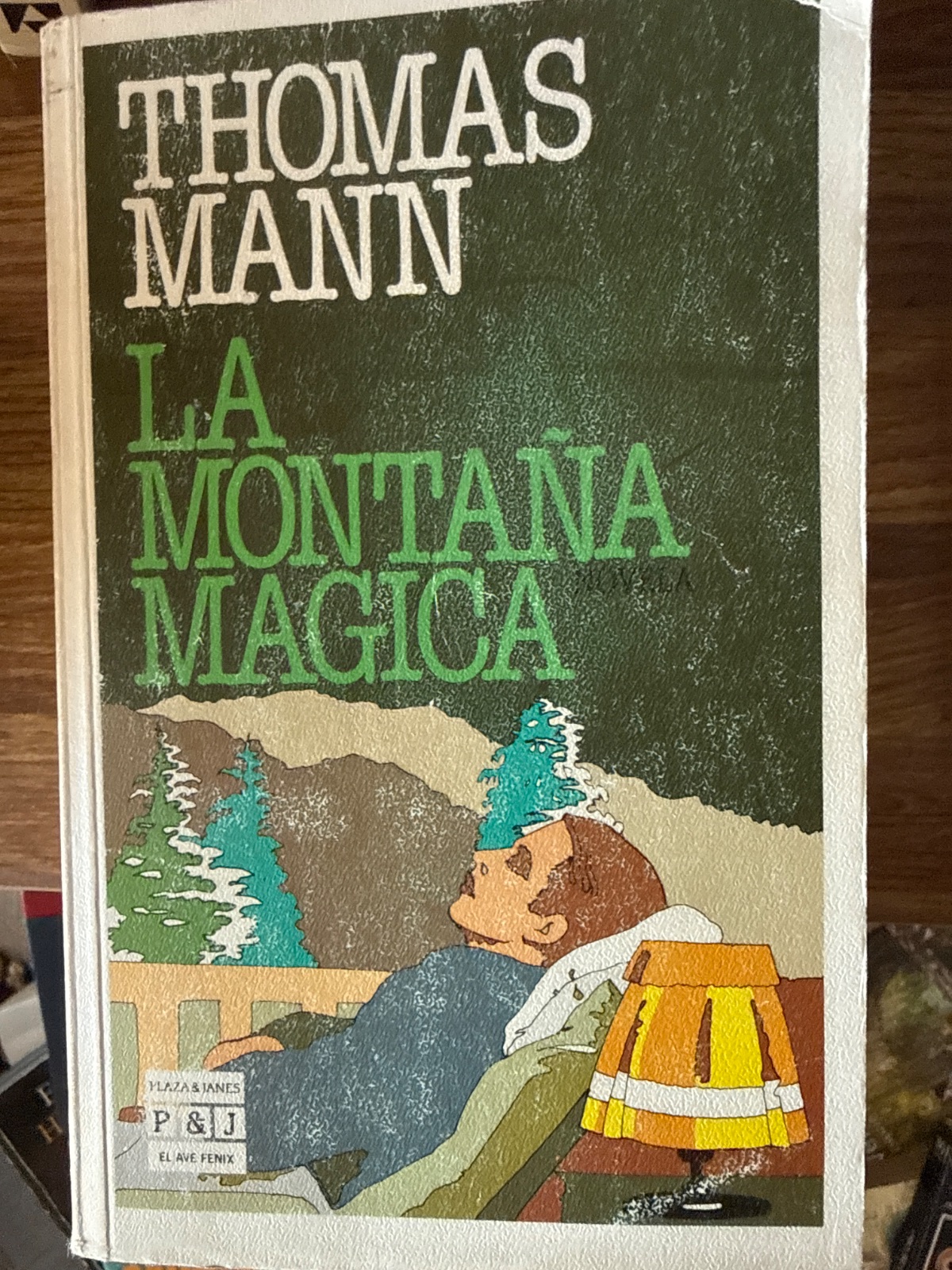 La montaña mágica