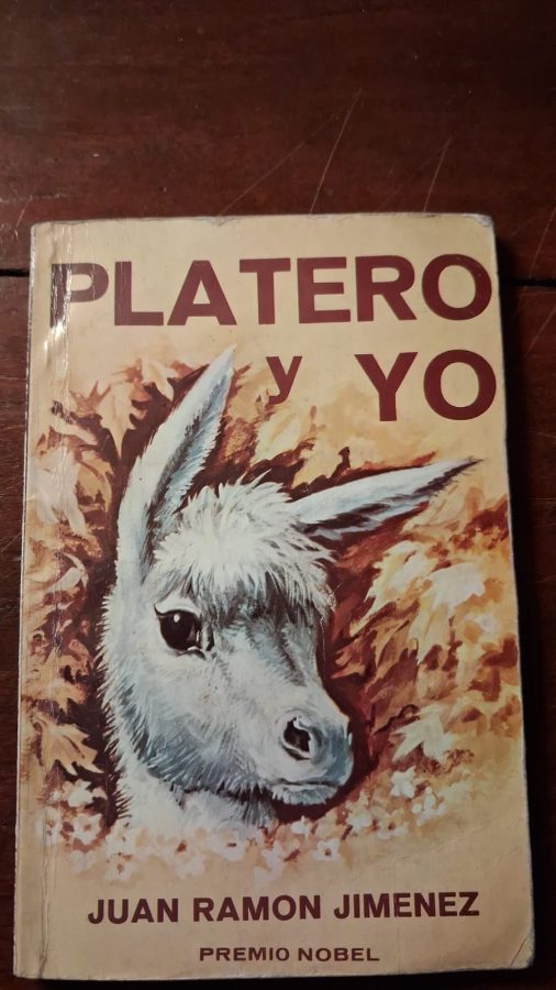 Platero y yo