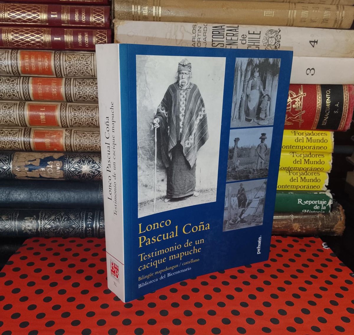 Testimonio de un cacique mapuche