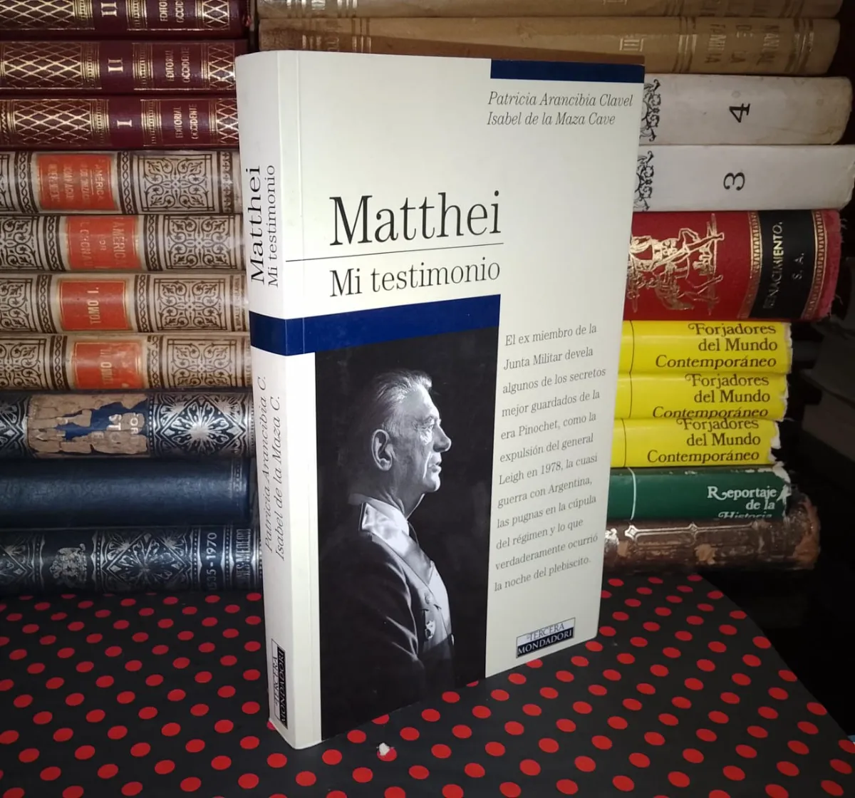 Matthei Mi Testimonio