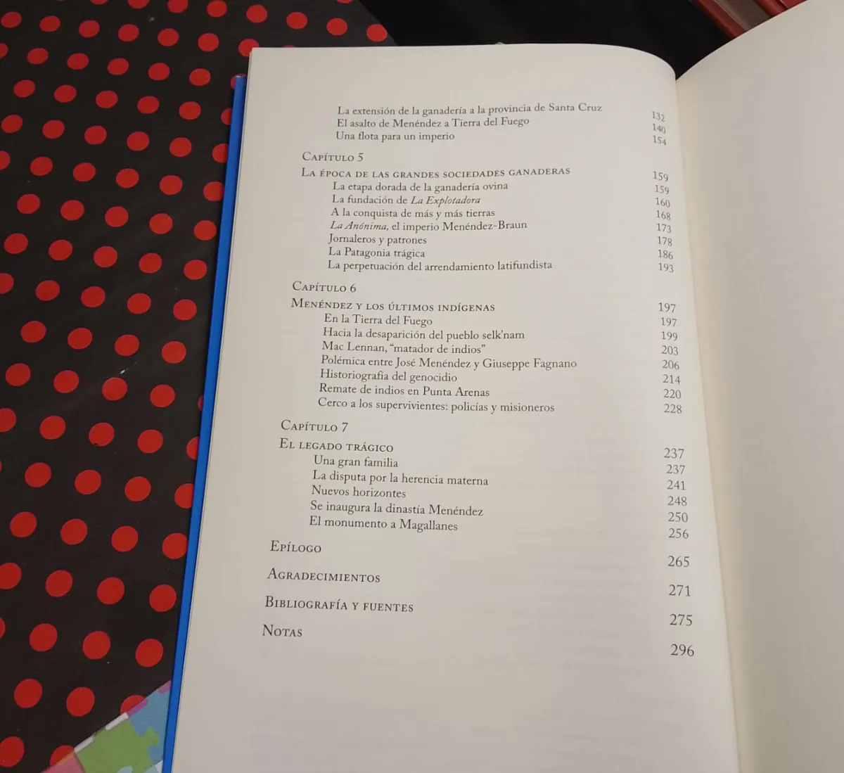 Menéndez Rey De La Patagonia - miniatura 4
