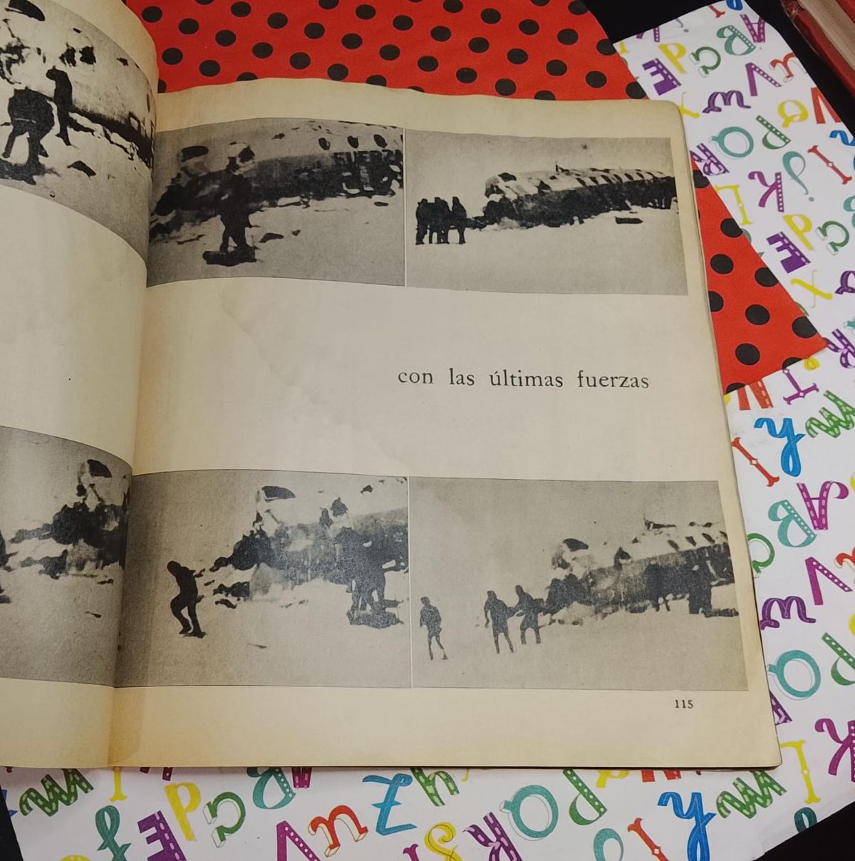 Vivir O Morir - miniatura 5