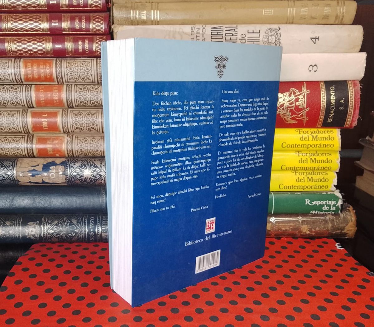 Testimonio de un cacique mapuche - miniatura 2
