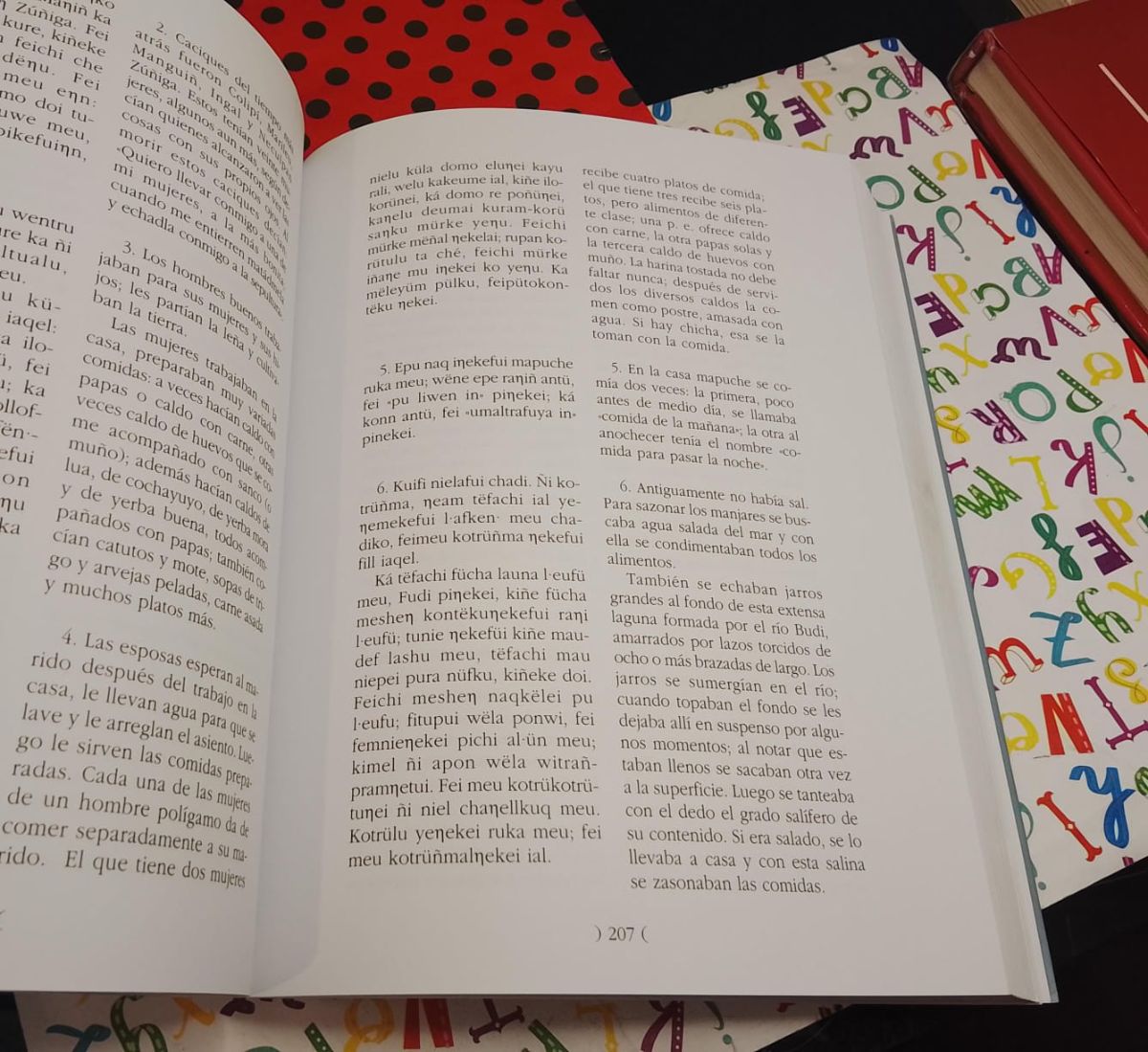 Testimonio de un cacique mapuche - miniatura 4